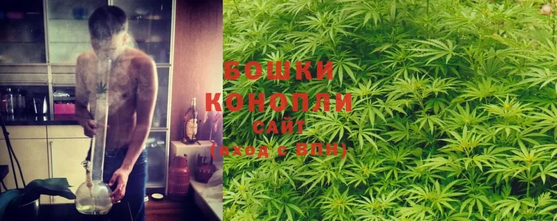 купить   Котлас  Конопля OG Kush 